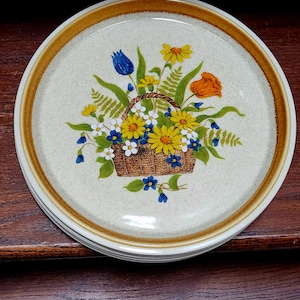 Mikasa Stone Manor Garden Bouquet Dinner Plates, Salad Plates, 9