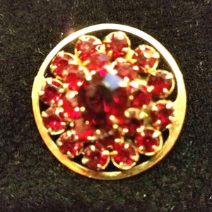 Vintage Garnet brooch in goldtone setting