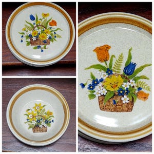 Mikasa Stone Manor Garden Bouquet talerze obiadowe, talerze sałatkowe, 9-calowe miski do serwowania lub miski na płatki zbożowe sprzedawane pojedynczo
