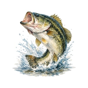 Könnte beinhalten: Aquarellillustration eines Großmaulbasses, der aus dem Wasser springt. Der Fisch wird mit detaillierten Schuppen, Flossen und offenem Maul dargestellt, umgeben von Wasserspritzern. Die Farbpalette umfasst Grün-, Braun- und Blautöne.