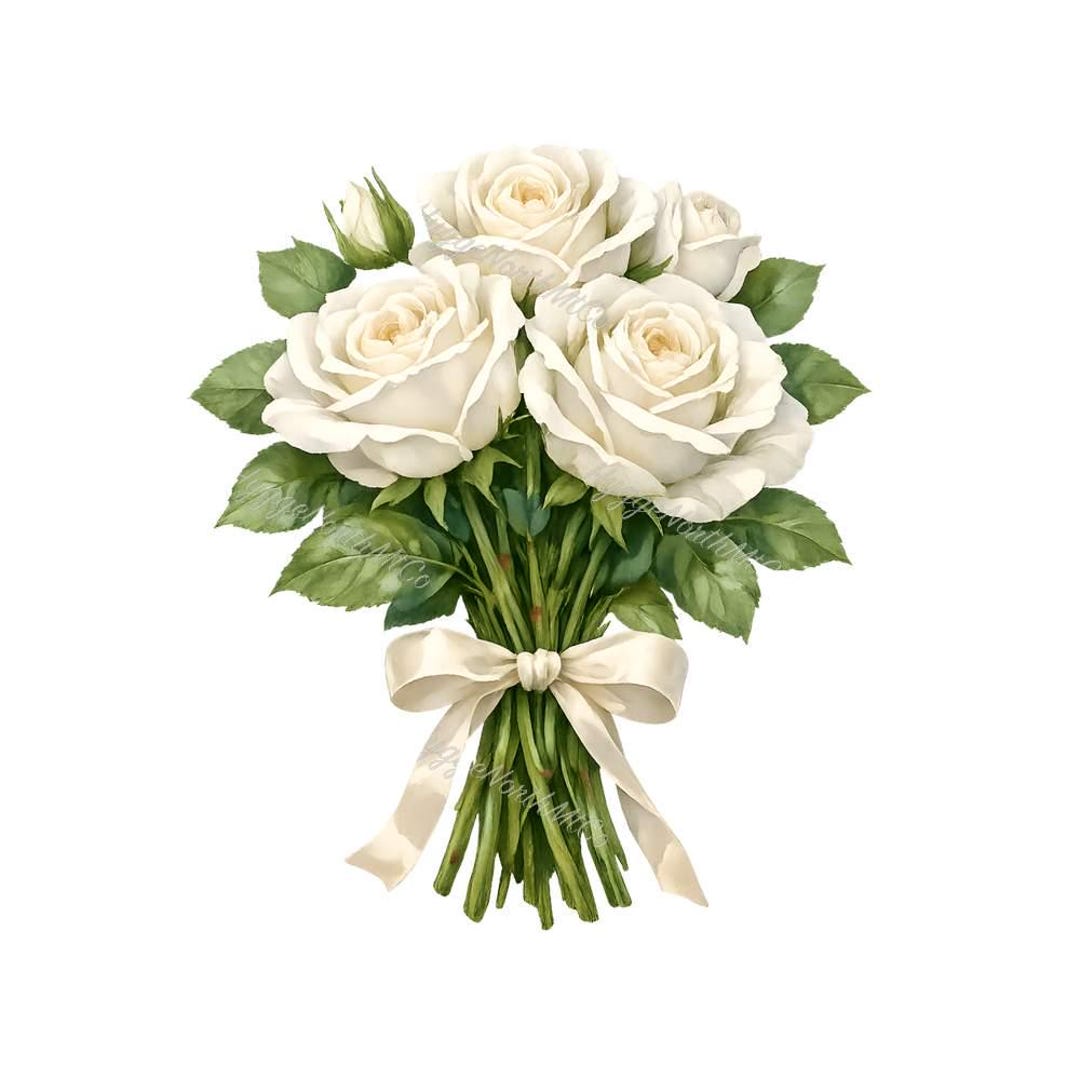 20 White Roses Clipart – Elegant Watercolor Png Collection, Botanical ...