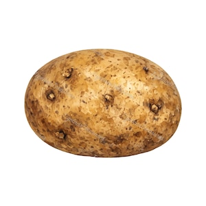 May include: A single, whole potato with a light brown skin and small, dark brown eyes. The potato has an oval shape and a textured surface, with a watercolor-like appearance. The image is set against a plain white background.