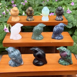 May include: A collection of carved stone bird figurines in various colors and patterns. The birds are displayed on three wooden shelves, with a natural green background. The figurines include tan, brown, white, green, blue, and black birds.