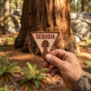 May include: A triangular embroidered patch with a tan background and a brown border. The patch features the word SEQUOIA in dark red capital letters above a brown embroidered graphic of a giant sequoia tree centered on the fabric surface.