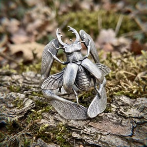 Puede incluir: Un anillo de plata que presenta un escarabajo ciervo detallado con mandíbulas prominentes y alas extendidas. El diseño del insecto metálico envuelve el dedo, mostrando venas de alas texturizadas y un acabado pulido en el cuerpo y patas.