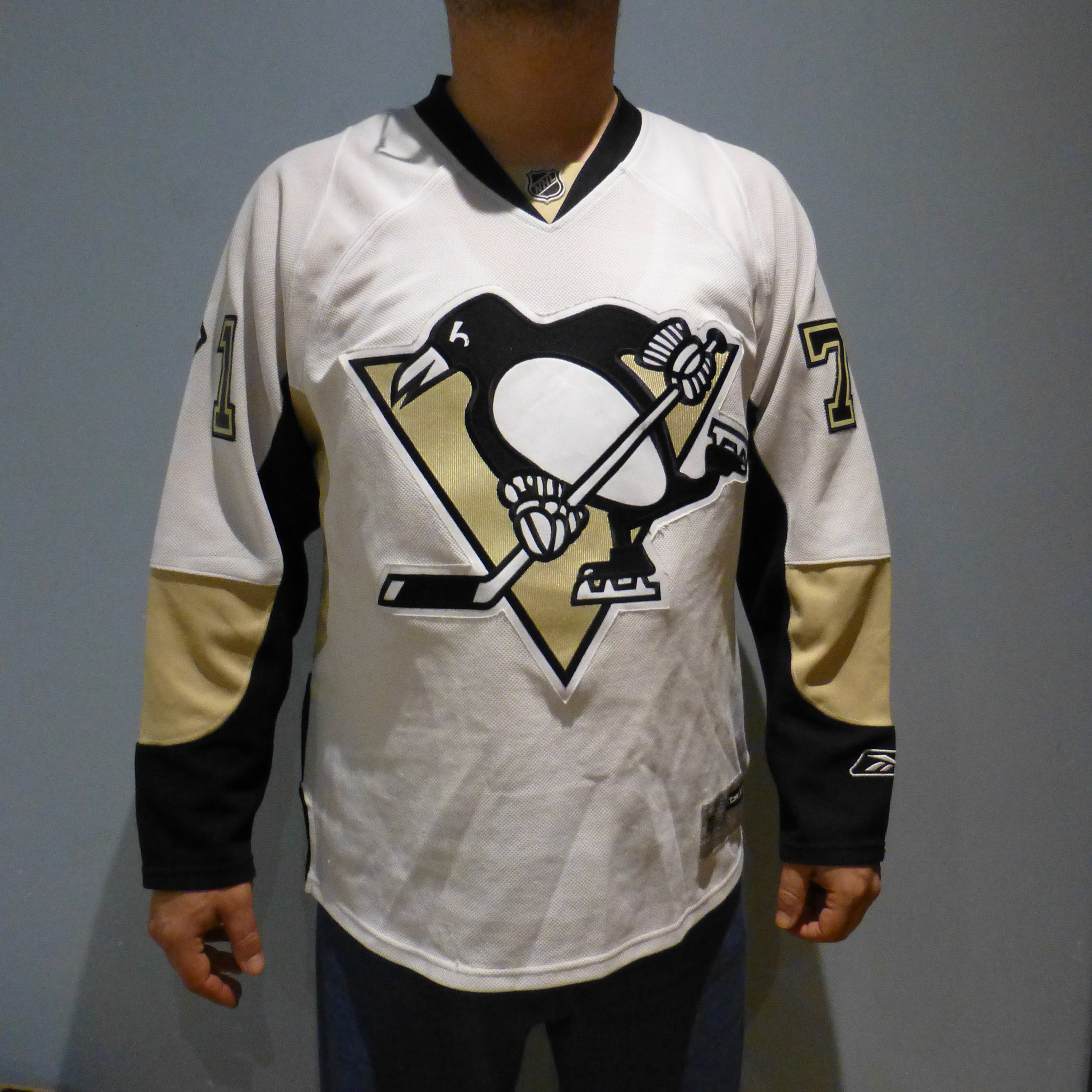 Lot Detail - Sidney Crosby Signed Penguins Reebok Jersey (Frameworth)