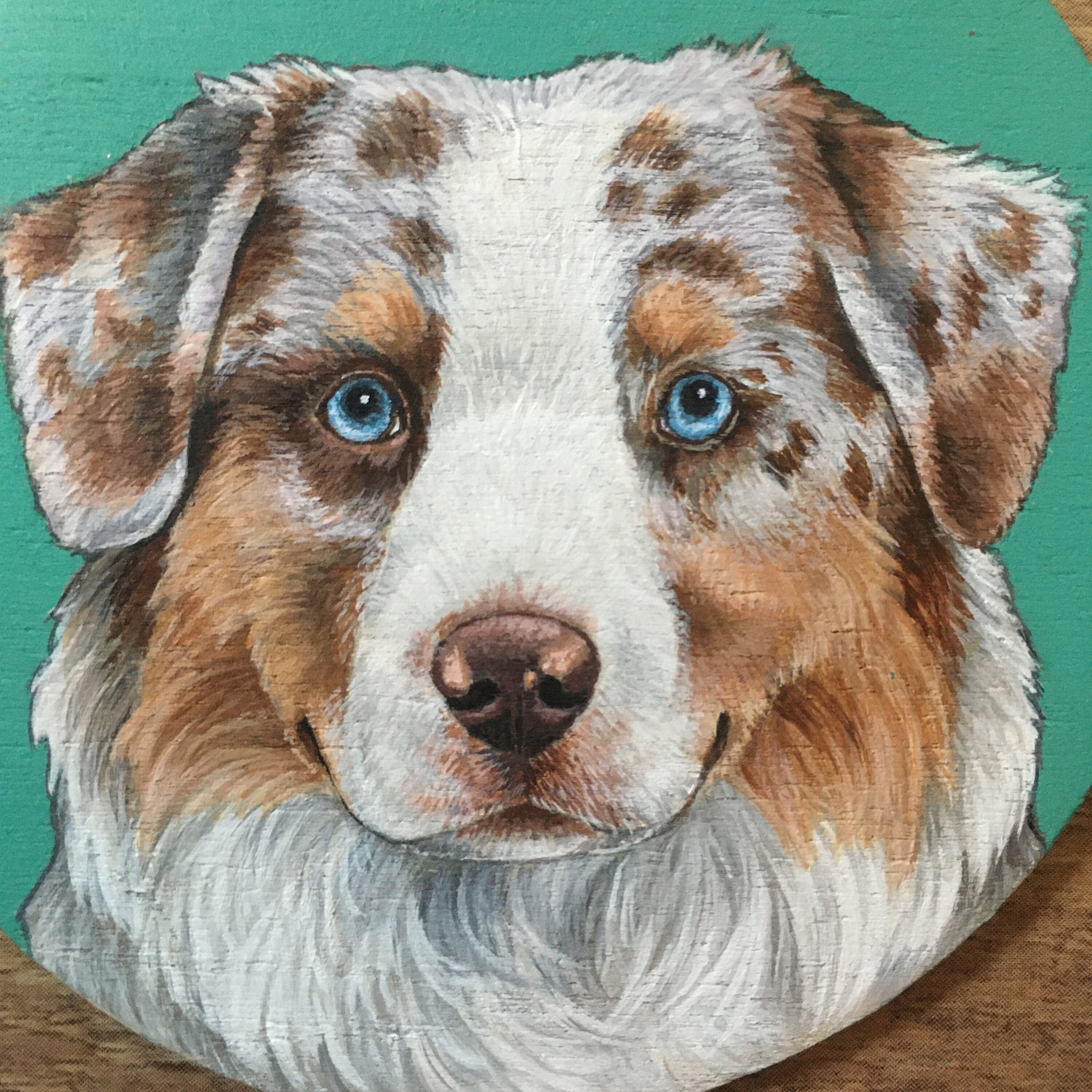 Mini australian shepherd christmas ornament Clearance