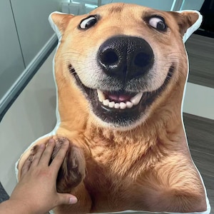 Pu&ograve; includere: Un cuscino sagomato con una stampa fotografica ad alta risoluzione in primo piano di un cane color marrone chiaro con un ampio sorriso che mostra i denti e grandi occhi espressivi. Il cuscino segue il contorno della testa e del busto del cane.