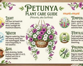 Live Petunia Starter Plant | Vibrant Continuous Garden Blooms | Colorful Hanging Basket Flower | Tiny Nursery Pot
