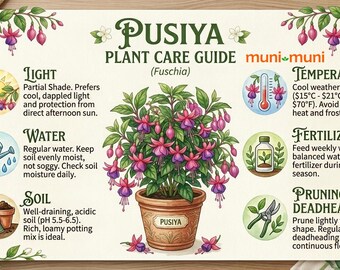 Live Pusiya Fuchsia Plant | Exotic Dangling Angel Earrings | Vibrant Jewel-Toned Starter Pot | Tiny Nursery Pot