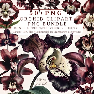 May include: A digital collection of 50+ PNG orchid clipart files and 4 printable sticker sheets. The images feature various dark purple and white orchid flowers with intricate petal patterns, presented against a light background with text.