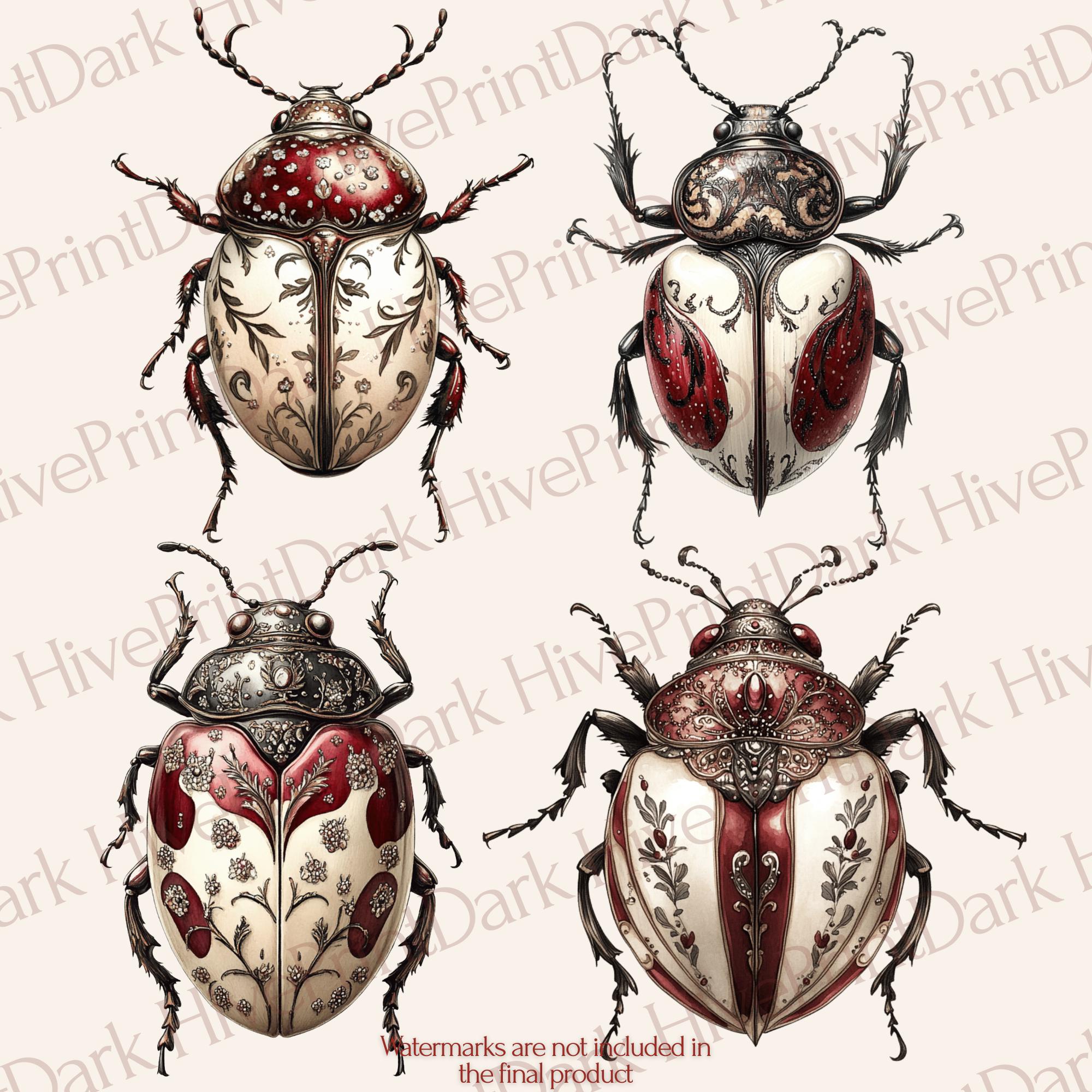 Gothic Beetle PNG Bundle Vol 1 – 12 Files | Victorian Entomology Art ...