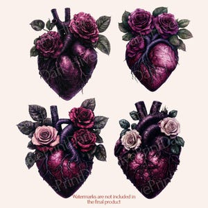 Purple Floral Anatomical Heart PNG Bundle — 12 unique deep purple anatomical hearts entwined with white roses, perfect for gothic, witchy, and dark romance aesthetic projects. Mystical and romantic — ideal for gothic stationery, dark journals, and dark romance design.