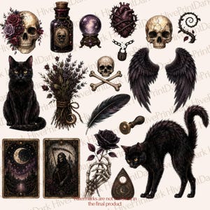 May include: A collection of gothic-themed illustrations featuring two black cats, skulls adorned with roses, a crystal ball, a heart wrapped in thorns, a broken padlock, black wings, a feather, a bouquet of dried herbs, tarot cards, and a planchette.