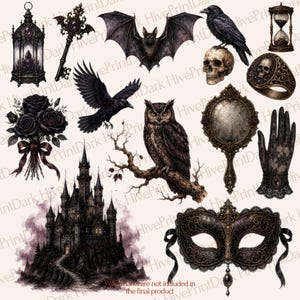 May include: A collection of gothic-themed illustrations featuring a dark castle, a bat, a raven perched on a skull, an owl on a branch, a bouquet of black roses, a lantern, a key, an hourglass, a hand mirror, a lace glove, and a filigree mask.