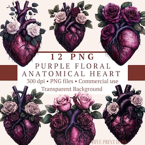 Purple Floral Anatomical Heart PNG Bundle — 12 unique deep purple anatomical hearts entwined with white roses, perfect for gothic, witchy, and dark romance aesthetic projects. Mystical and romantic — ideal for gothic stationery, dark journals, and dark romance design.