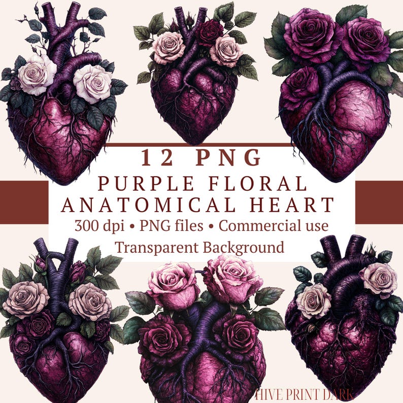 Purple Floral Anatomical Heart PNG Bundle — 12 unique deep purple anatomical hearts entwined with white roses, perfect for gothic, witchy, and dark romance aesthetic projects. Mystical and romantic — ideal for gothic stationery, dark journals, and dark romance design.