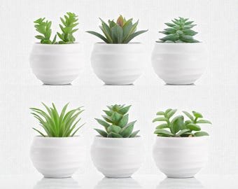 Set of 6 Artificial Succulents, Mini Faux Plants, White Pots, Desk Decor