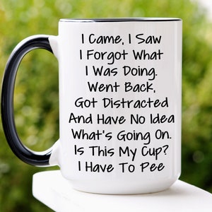 Funny Grandma's Wandering Mind Mug, I Came I Saw I Forgot What I Was Doing Mug, Old People Mug, Work Mug, Grandma Gift From Grandkid