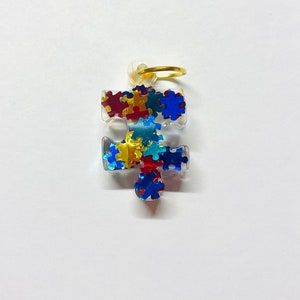 Primary Colors-Puzzle Piece Charm/Autism Awareness Jewelry-Puzzle Pieces in Clear Resin as a Pendant/Autism Awareness Jewelry