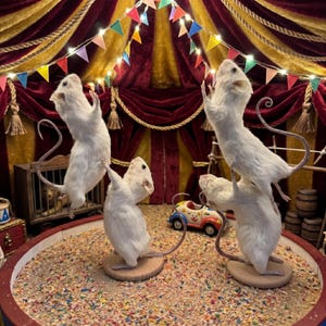 May include: A miniature circus scene featuring white mice performing acrobatic feats. The mice stand on wooden platforms within a colorful arena, under a tent with red and gold drapery, and string lights. A toy car and cage are also visible.