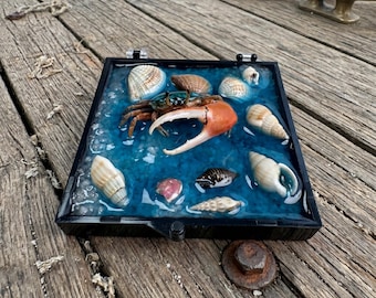 Marine Specimen Diorama | Miniature Ocean Art | Curiosity Cabinet Display