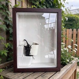 May include: A shadow box frame with a dark wood finish containing a white miniature toilet and a black rhinoceros beetle figurine sitting on it, holding a small roll of toilet paper. The interior of the display case is white and glass-fronted.