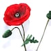 Fabric Poppy Tutorial, PDF. Learn to Make Your Own Fabric Flowers - Etsy