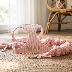 May include: A pink and white striped pet harness, leash, and matching elastic leash set. The harness has the name "MAX" printed in gold. The set includes silver-colored metal clasps and is displayed on a woven mat.