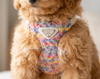 Arnés y correa para perros, arnés de tweed para cachorros, accesorios Step In Pet Gear, ropa para Corgi y caniche, regalo de adopción de perros, regalo personalizado para mascotas