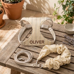 May include: A beige and white striped dog harness, leash, and scrunchie set with the name "OLIVER" embroidered on the harness. The set is displayed on a wooden table with a small bowl and lavender sprigs.