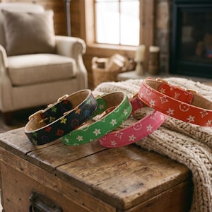 May include: Four leather dog collars in black, green, pink, and red, each with a gold buckle. The collars are patterned with repeating symbols. They are arranged on a wooden chest with a cozy blanket in the background.