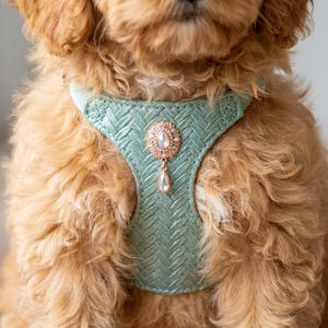 Rhinestone Dog Harness Set, Braided Leather Pet Harness, No Pull Puppy Gear, Dog Birthday Gift, Custom Pet Presents