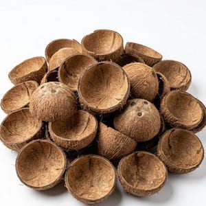 Mitades de cáscara de coco natural cruda – Suministros ecológicos para acuarios y jardines artesanales