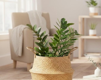 Storage Basket – Foldable Wicker Plant Basket, Natural Rattan Laundry & Toy Organizer, Boho Home Decor