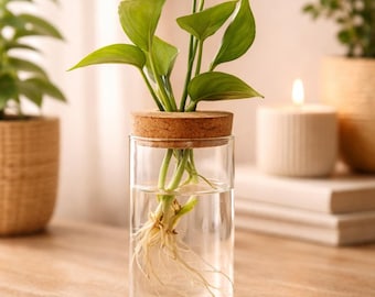 Glass Hydroponic Propagation Station, Minimalist Wood Desk Decor, Water Planter Vase