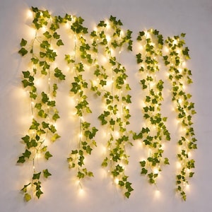 Può includere: Ghirlanda di edera artificiale con piccole luci a LED bianco caldo. Le foglie verdi sono disposte lungo un filo sottile, creando un effetto vite decorativo. Le luci sono uniformemente distanziate, fornendo una luce soffusa.