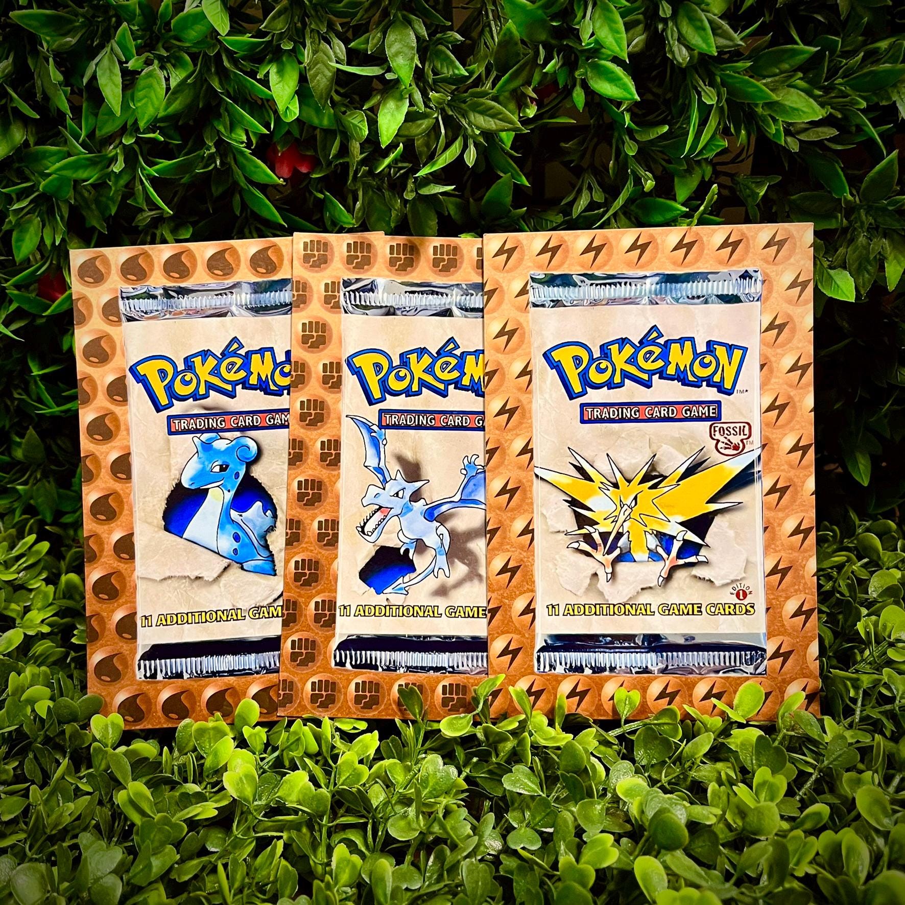 Fossil Booster Pack - Etsy Fossil Booster Pack - Etsy