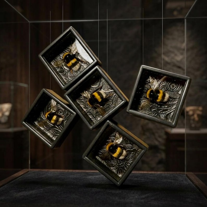 May include: Five square, dark metal frames, each containing a preserved bumblebee. The bees have yellow and black stripes. The frames have ornate, engraved silver-colored backgrounds. The display is set against a dark background.