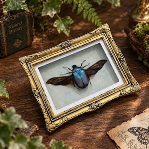 May include: A framed specimen of a beetle with an iridescent blue-green body and dark brown wings spread wide. The rectangular frame is ornate, featuring a metallic gold finish with intricate embossed detailing along the edges.