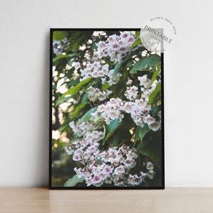 White London Blossoms - Blooming Tree in London - Digital Download Printable