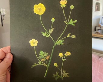 Impresión en tamaño A4 de mi obra de arte original de flores silvestres.