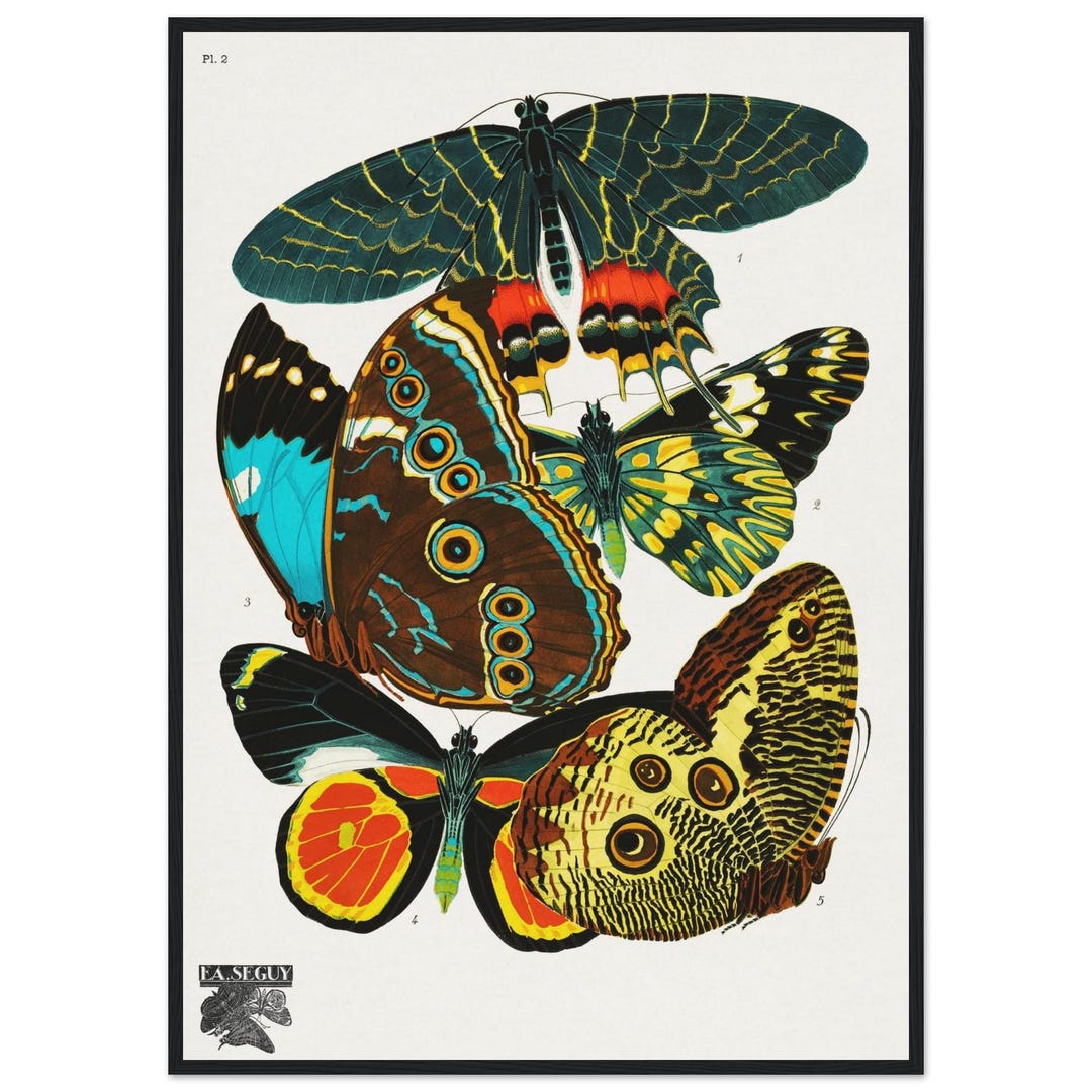 Eug ne S guy Art Deco Butterfly Print Vintage Papillons Illustration 