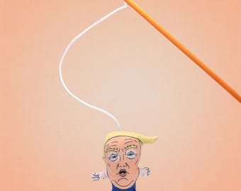 Orange Don Cat Toy Wand