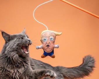 Orange Don Cat Toy Wand