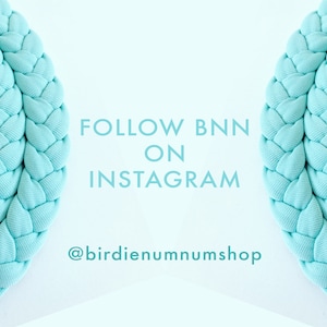 May include: Two turquoise blue braided rope circles with the text "FOLLOW BNN ON INSTAGRAM @birdiennummshop" in the center.