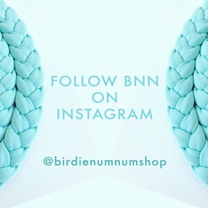 May include: Two turquoise blue braided rope circles with the text "FOLLOW BNN ON INSTAGRAM @birdiennummshop" in the center.