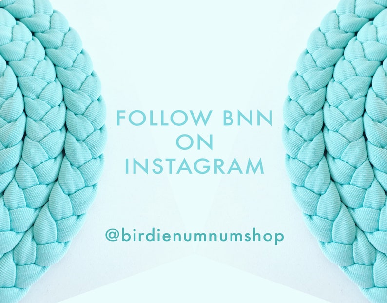 May include: Two turquoise blue braided rope circles with the text "FOLLOW BNN ON INSTAGRAM @birdiennummshop" in the center.