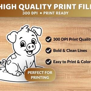 May include: Black and white illustration of a piglet with the text "HIGH QUALITY PRINT FILES" and "300 DPI &bull; PRINT READY". The image also includes the text "PERFECT FOR PRINTING", "300 DPI Print Quality", "Bold & Clean Lines", and "Easy to Print & Color".