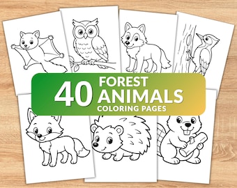 40 Forest Animals Coloring Pages for Kids, Woodland Animal Coloring Book, Toddler Coloring Pages, Preschool Activity, Printable PDF